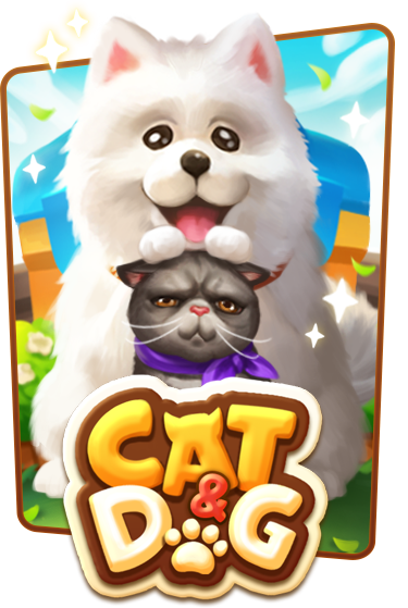 Cat&Dog